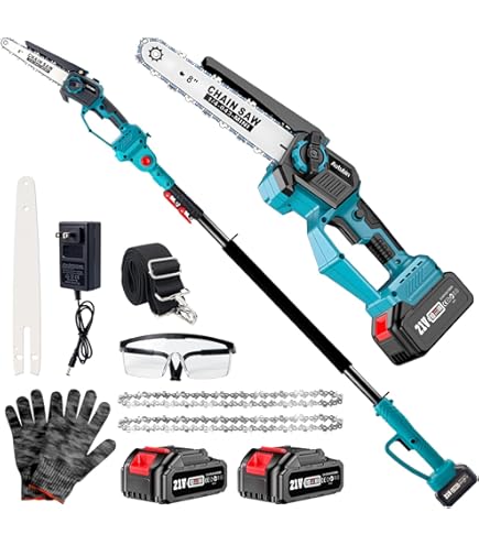 Amazon.com : WORX WG323 20V 10